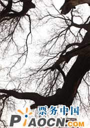 話劇《鑼鼓巷的故事》