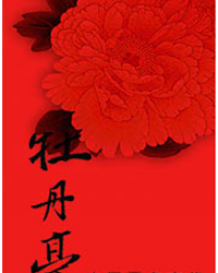 《牡丹亭》——中國首部小劇場青春話劇