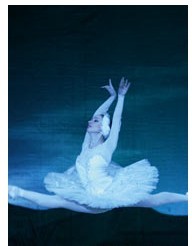 俄羅斯國家模范莫斯科古典芭蕾舞大劇院《天鵝湖》