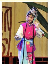 牡丹長生——顧衛英昆曲名劇集錦