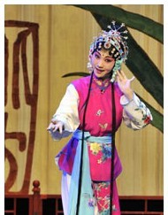 牡丹長(zhǎng)生——顧衛(wèi)英昆曲名劇集錦