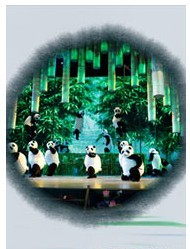 大型風(fēng)情功夫劇《什剎海》