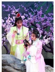 長安大戲院10月29-31日演出 杭州版越劇《紅樓夢》