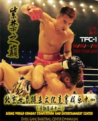 2011紫禁之巔·世界武術(shù)搏擊王者爭霸賽