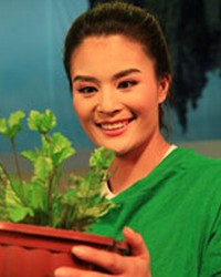 長安大戲院5月10日演出 宜春采茶戲《陽臺上的野菊花》