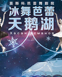 冰舞芭蕾《天鵝湖》