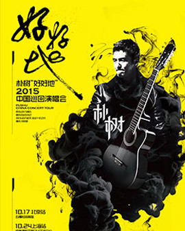 樸樹2015《好好地》全國巡回演唱會 北京站