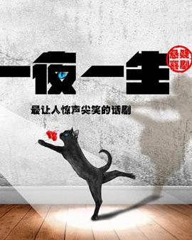 懸疑喜劇《一夜一生》