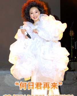 再現(xiàn)十億掌聲—鄧麗君經(jīng)典金曲演唱會(huì)
