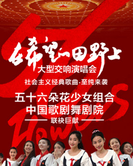 《在希望的田野上》——大型交響演唱會