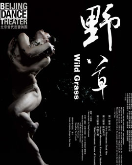 北京當(dāng)代芭蕾舞團(tuán)舞劇《野草》