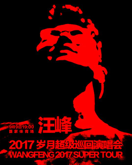汪峰個人演唱會