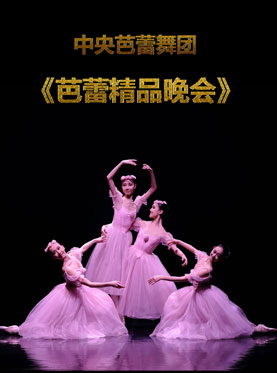中央芭蕾舞團 《芭蕾精品晚會》